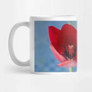 9216 red tulip Mug